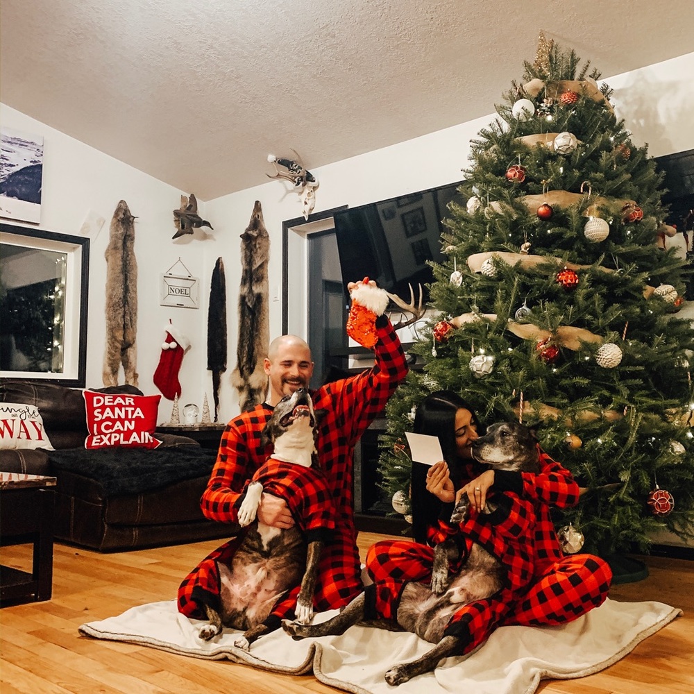 Meet your Posher, Avi